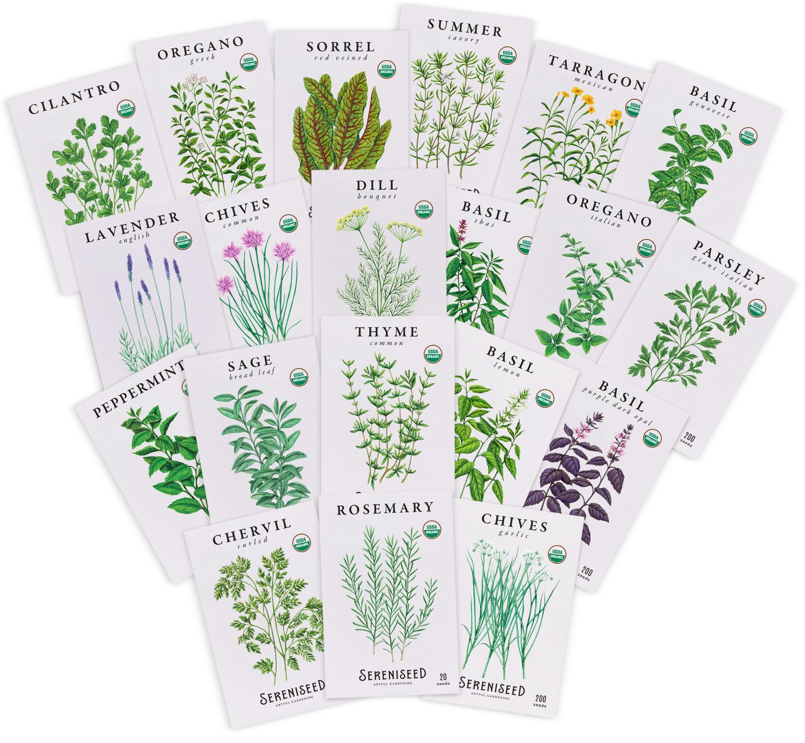 Certified Organic Herb Seeds (20-Pack) – Non GMO, Heirloom – Starting Video –…