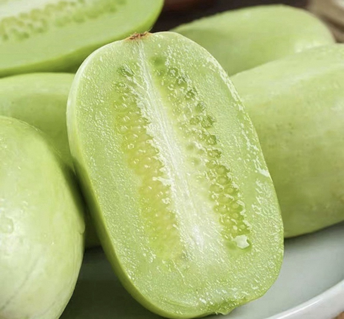 15CT F1 Mini Fruit Cucumber White Seeds Harvested In 2025. 15粒杂交玉女小水果黄瓜种子产于2025年
