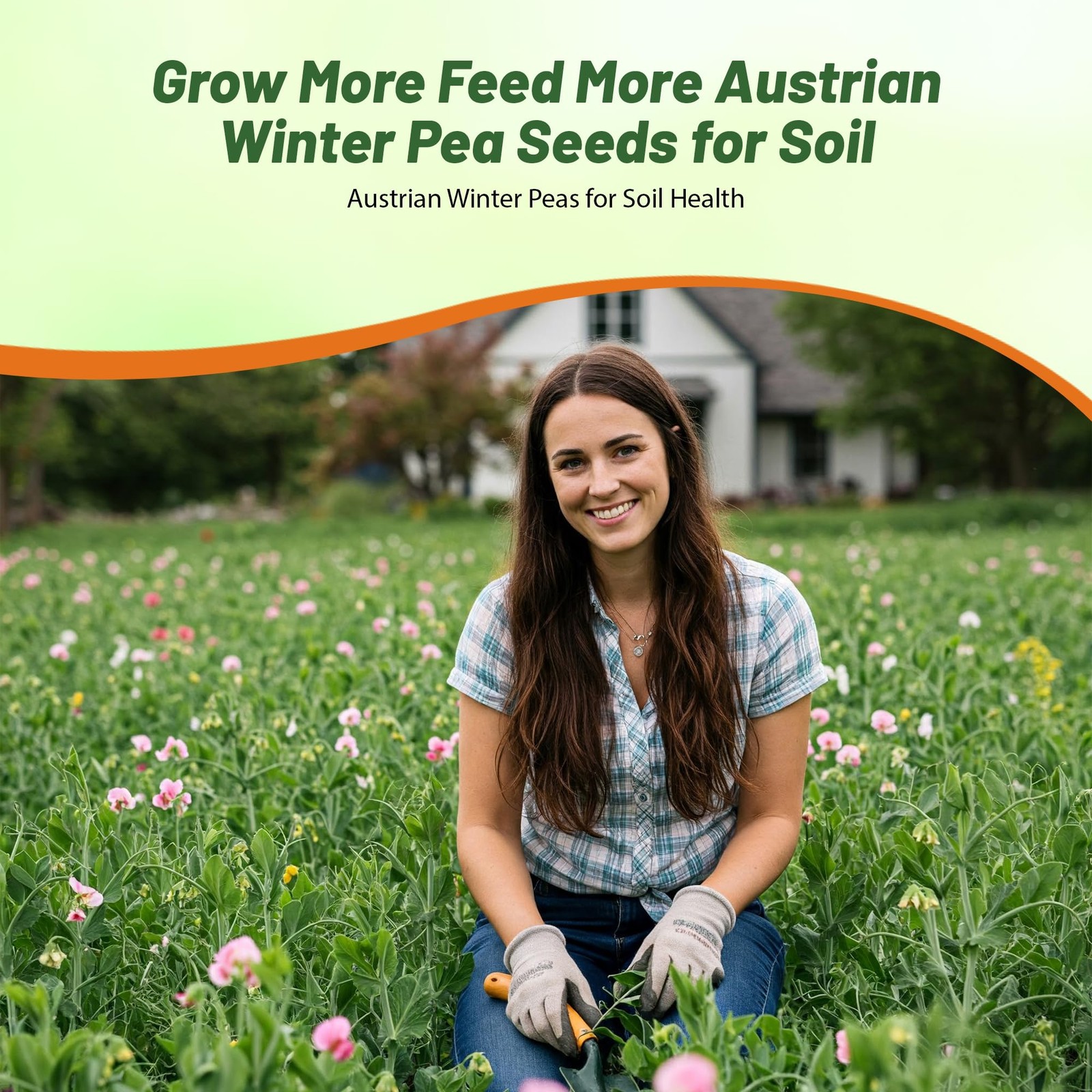 5 LBS Austrian Winter Peas Cover Crop Seeds