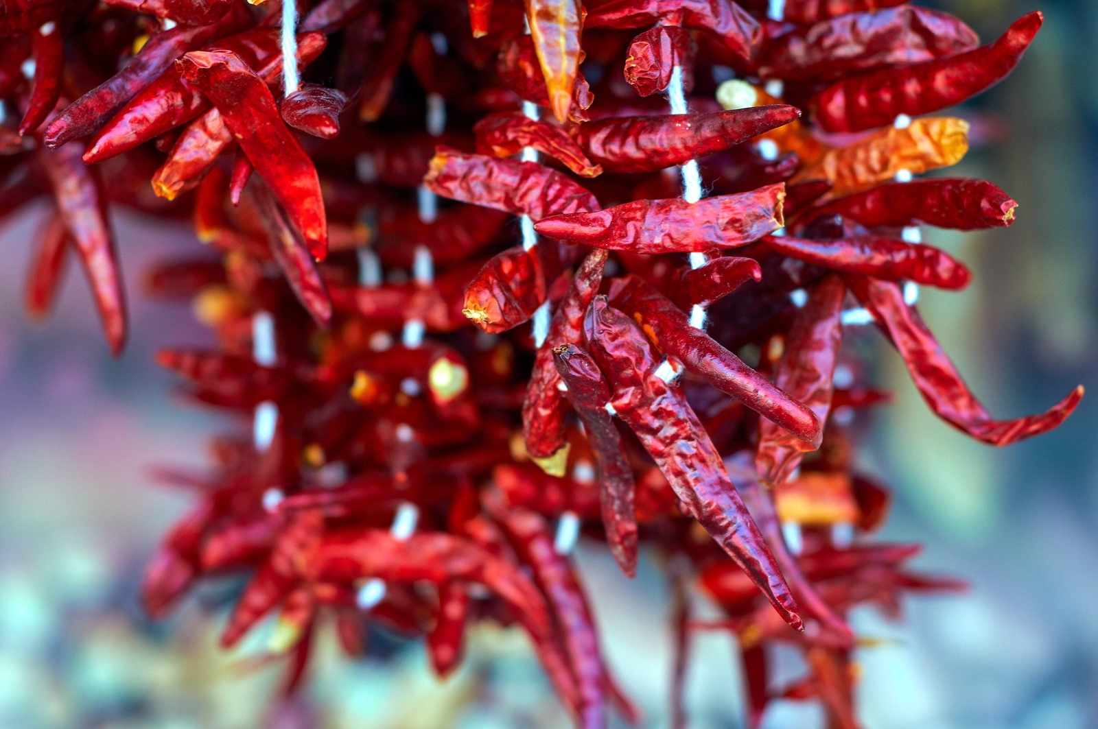 300 THIN CAYENNE PEPPER Hot Chili Long Green Red Slim Capsicum Vegetable Seeds