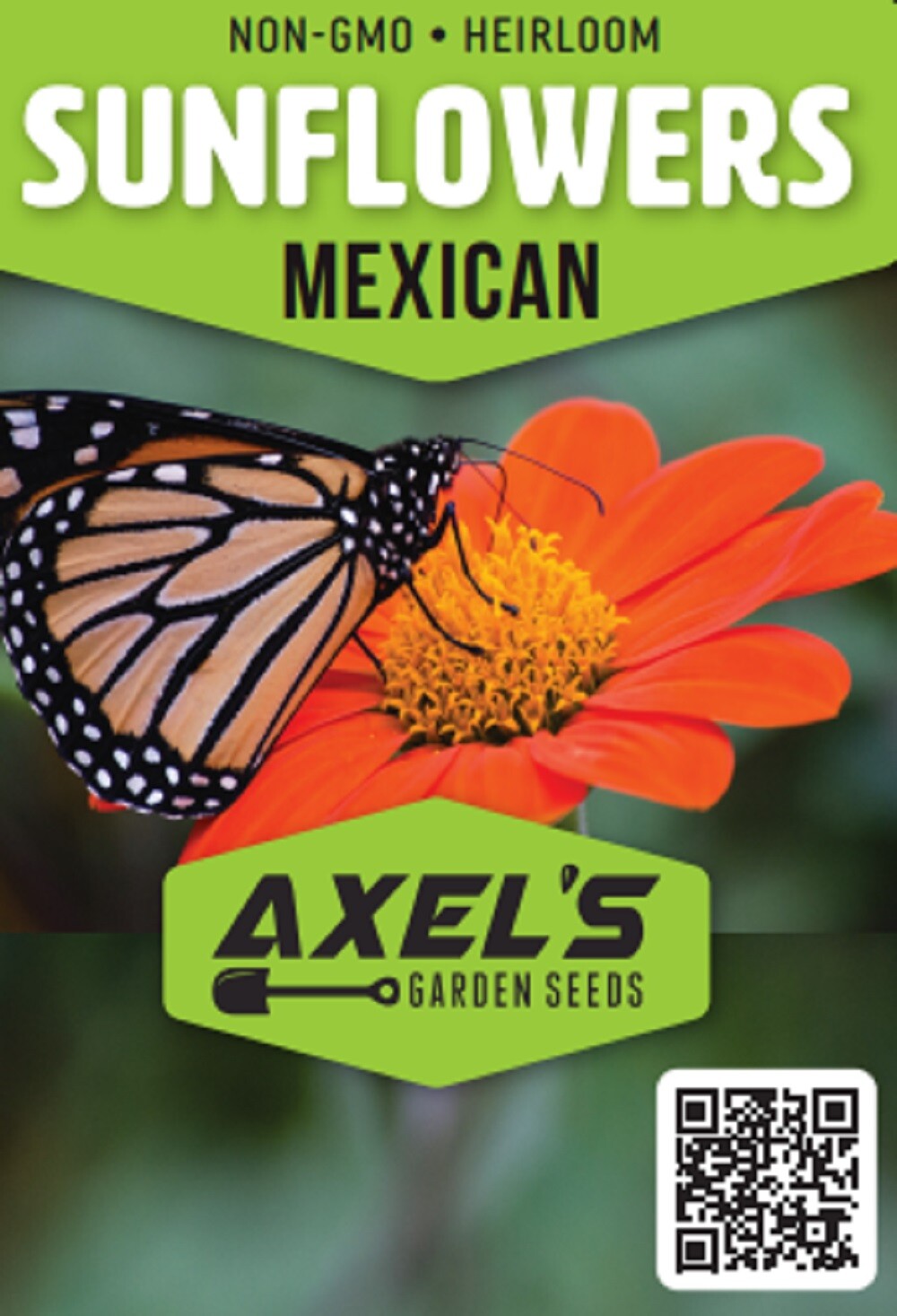 Sunflower Seeds – Large Orange Blooms, Drought-Tolerant, Mexican Torch Variety