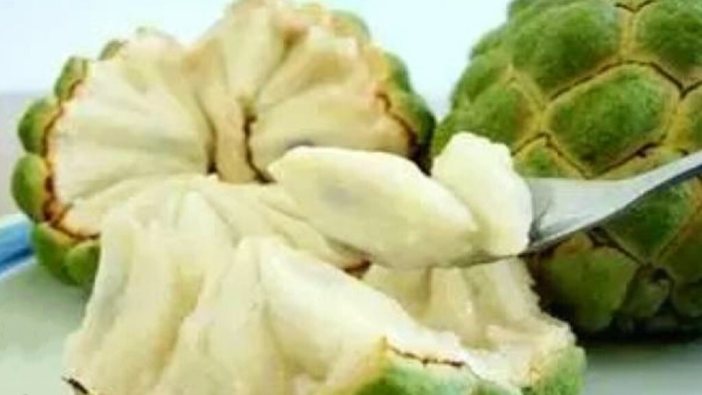 25 Sugar Apple Seeds Annona squamosa Na Dai Tropical Sweetsop Custard Apple