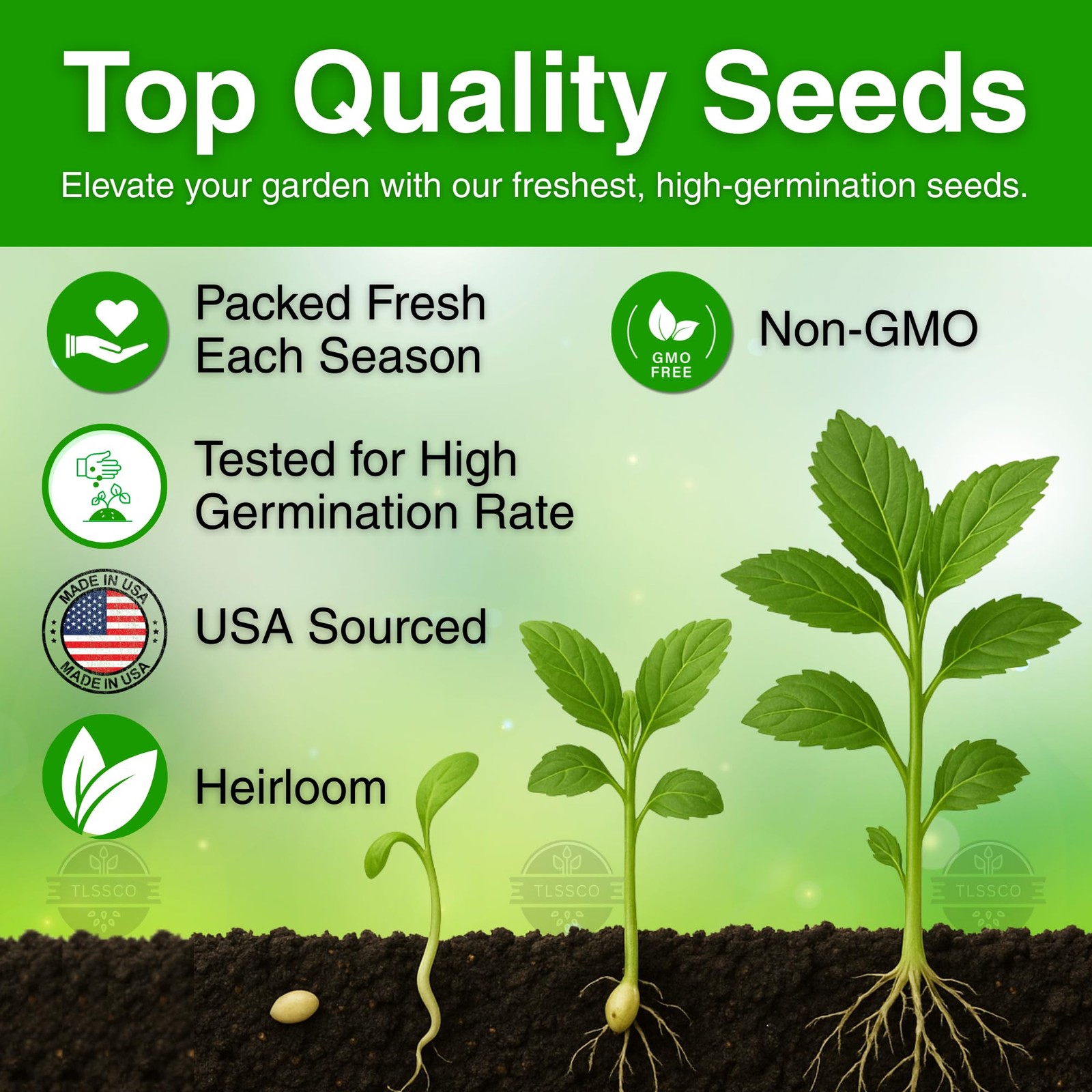 3000+ NonGMO Egyptian Spinach Seeds, FastGrowing, HighYield, Heirloom