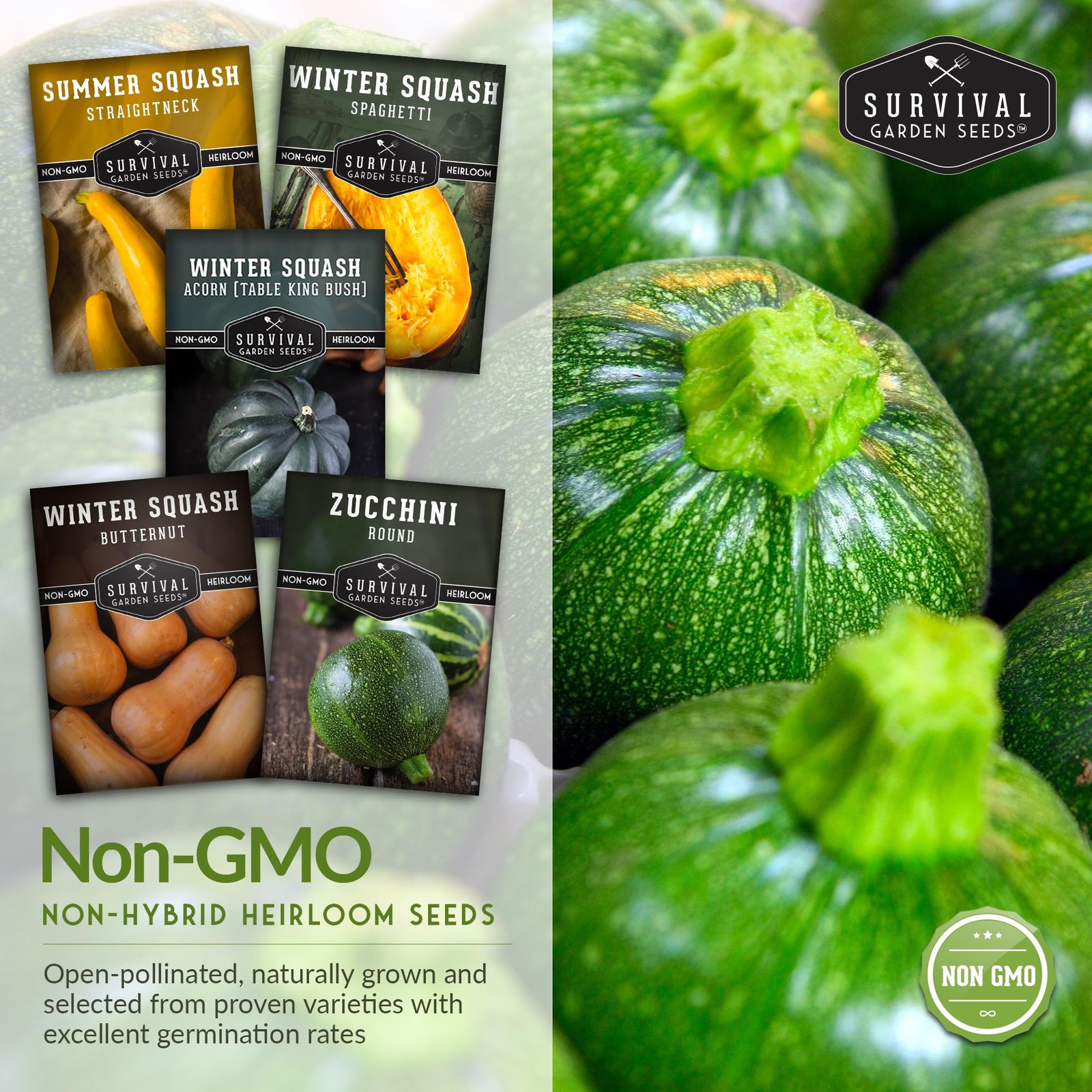Squash Seed Collection to Plant – 5 Packs of Summer & Winter Squash – Round Z…