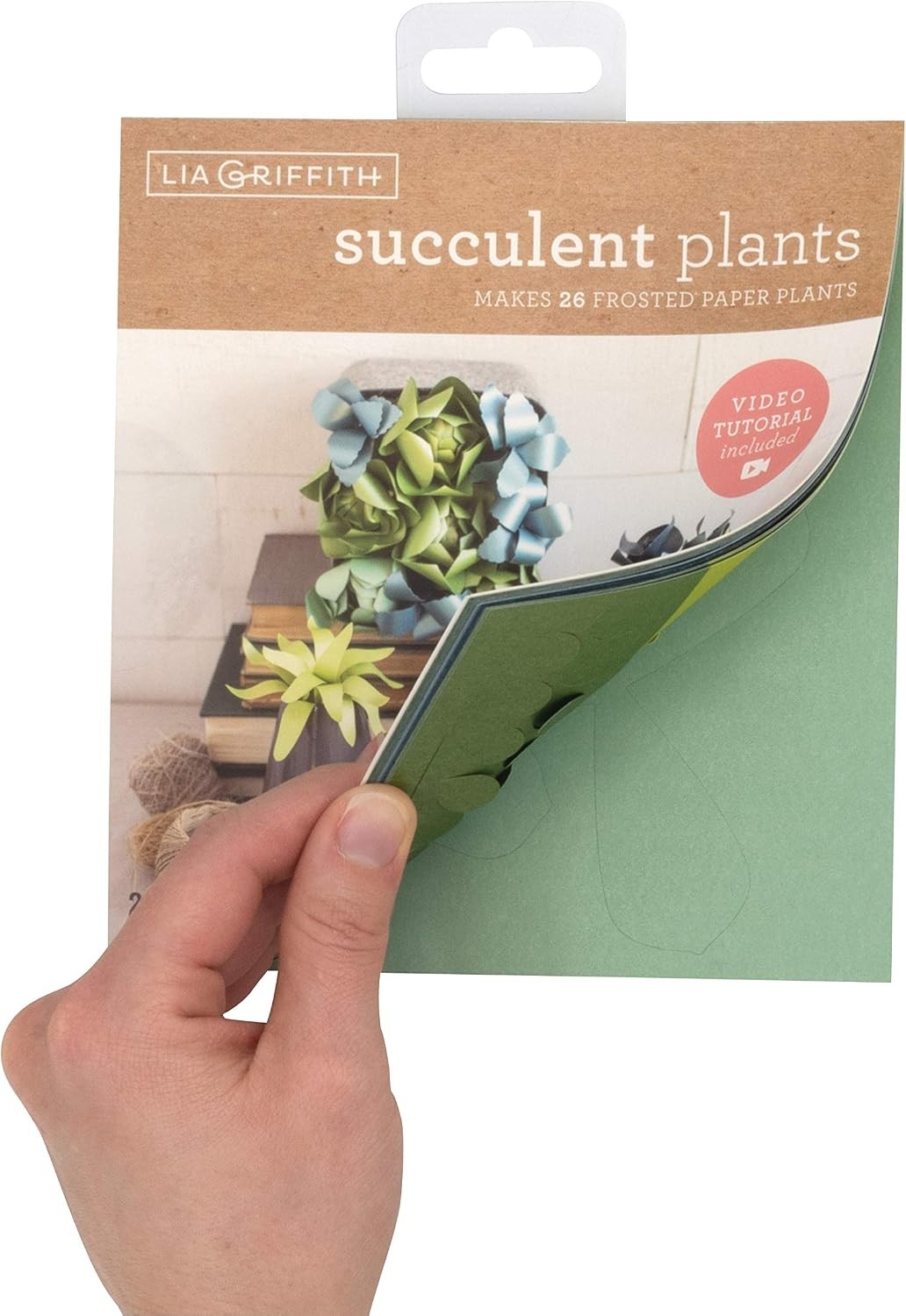 Succulent Frosted Paper Plants 6″ x 6.5″ Colors may vary 23 Count
