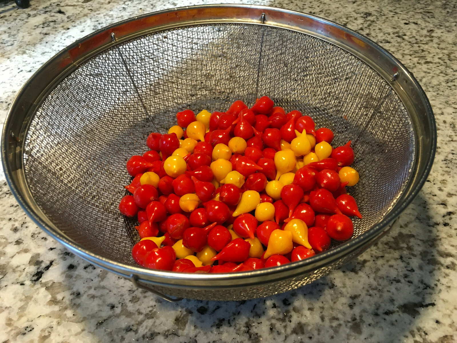 Sweety Drops Pepper Seeds Biquinho Petit Poivrons Qty 15+ (RED) Free Shipping