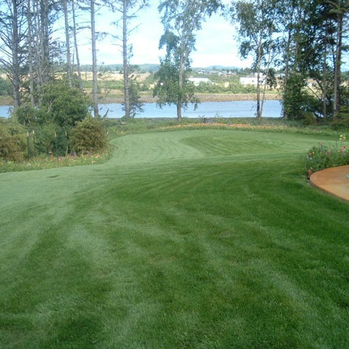 5 LBS – OptiGrowth Coated Combat Extreme Transition Zone – Transition Zone