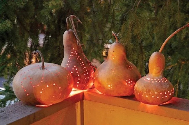 Birdhouse Gourd Seeds |USA Bird Bottle Calabash Chinese Asian Buddha Squash 2024