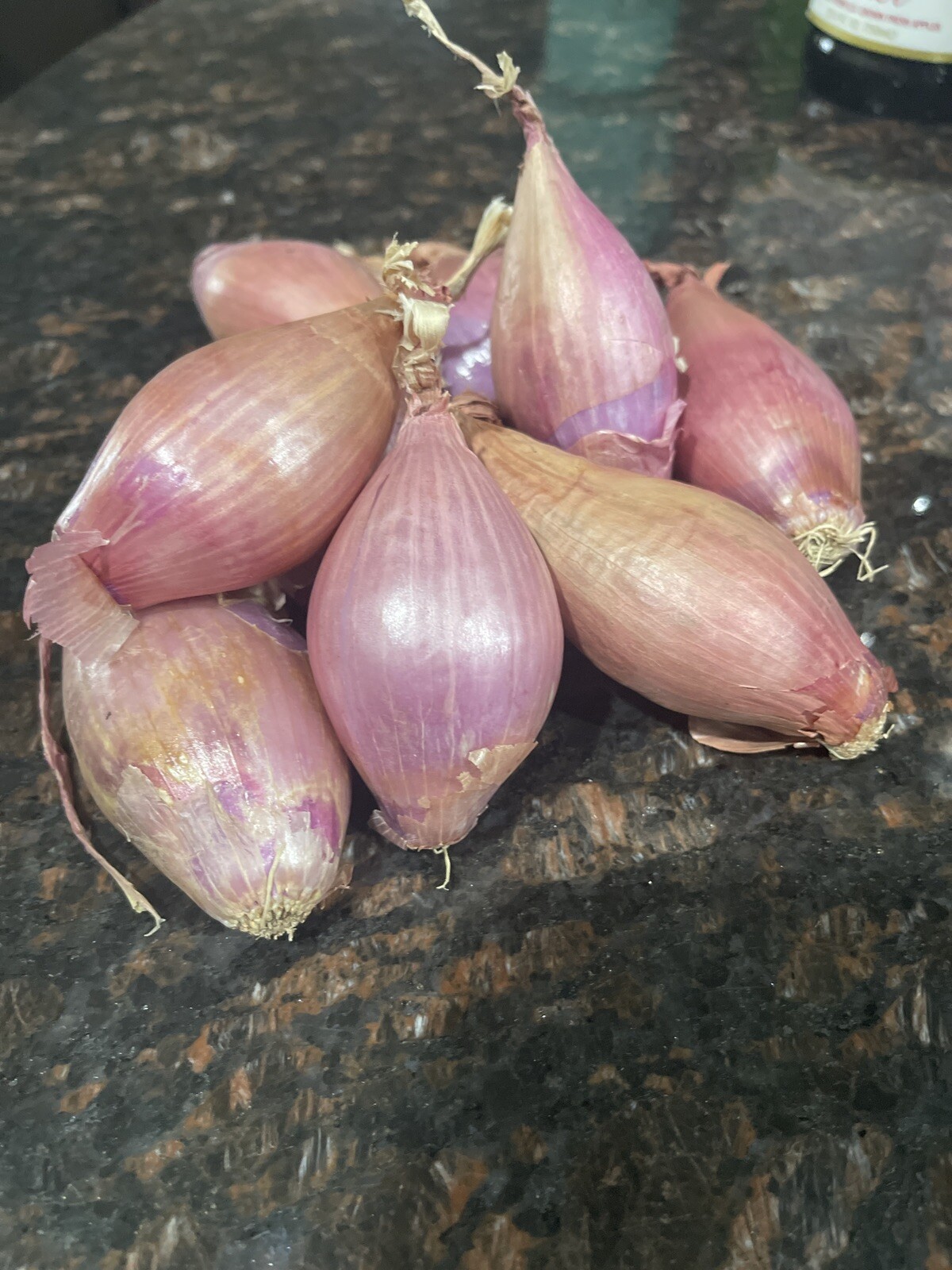 Shallots (3) Small-Medium Bulbs~For Planting or Eating~Organic