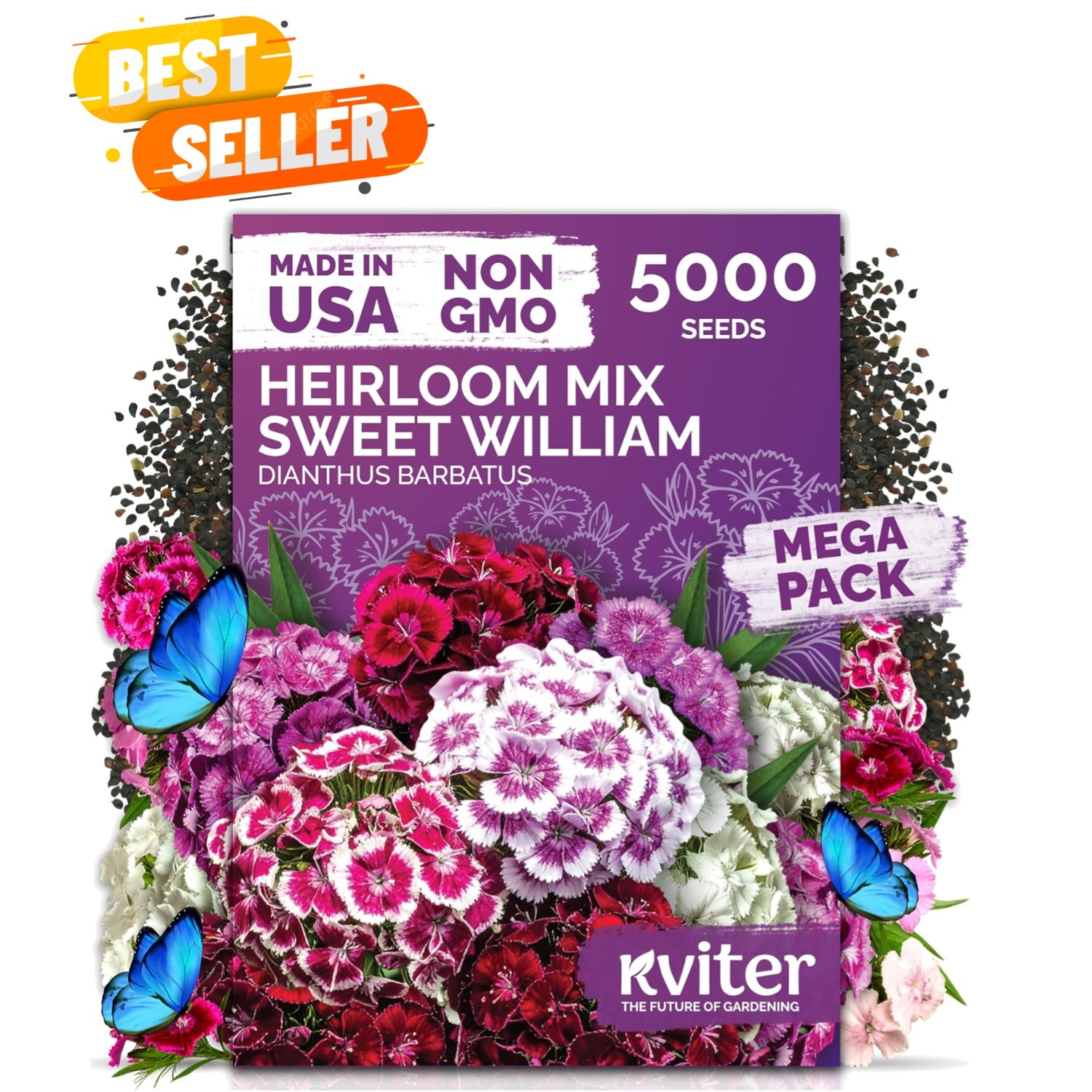 Dianthus barbatus – 5000 Heirloom Seeds for Perennial, Low-Maintenance Gardens