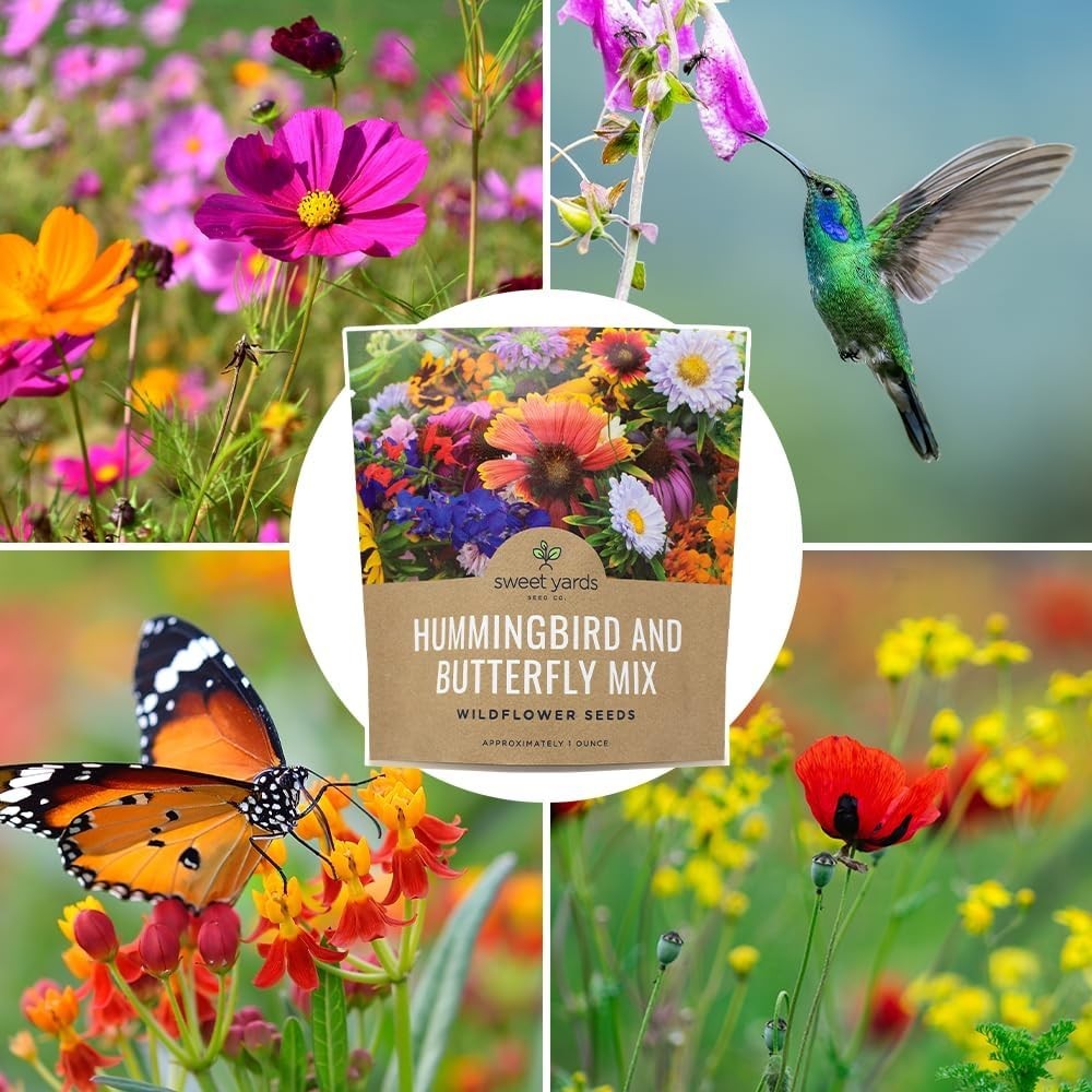 Large 1 Ounce Wildflower Seed Mix – 23 Perennial & Annual Species for Gardens