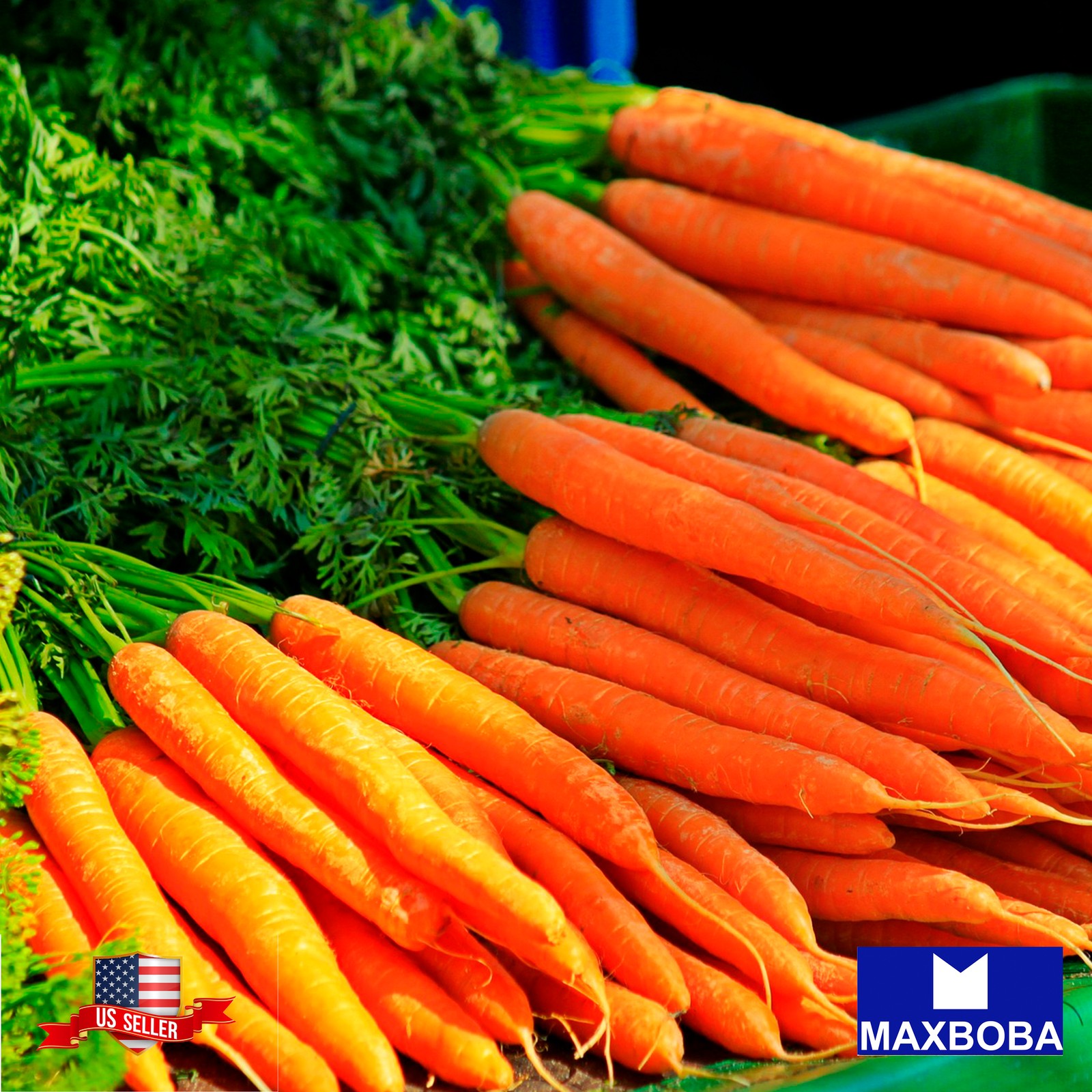 200 Tendersweet Carrot Fresh Seeds Non-GMO Heirloom
