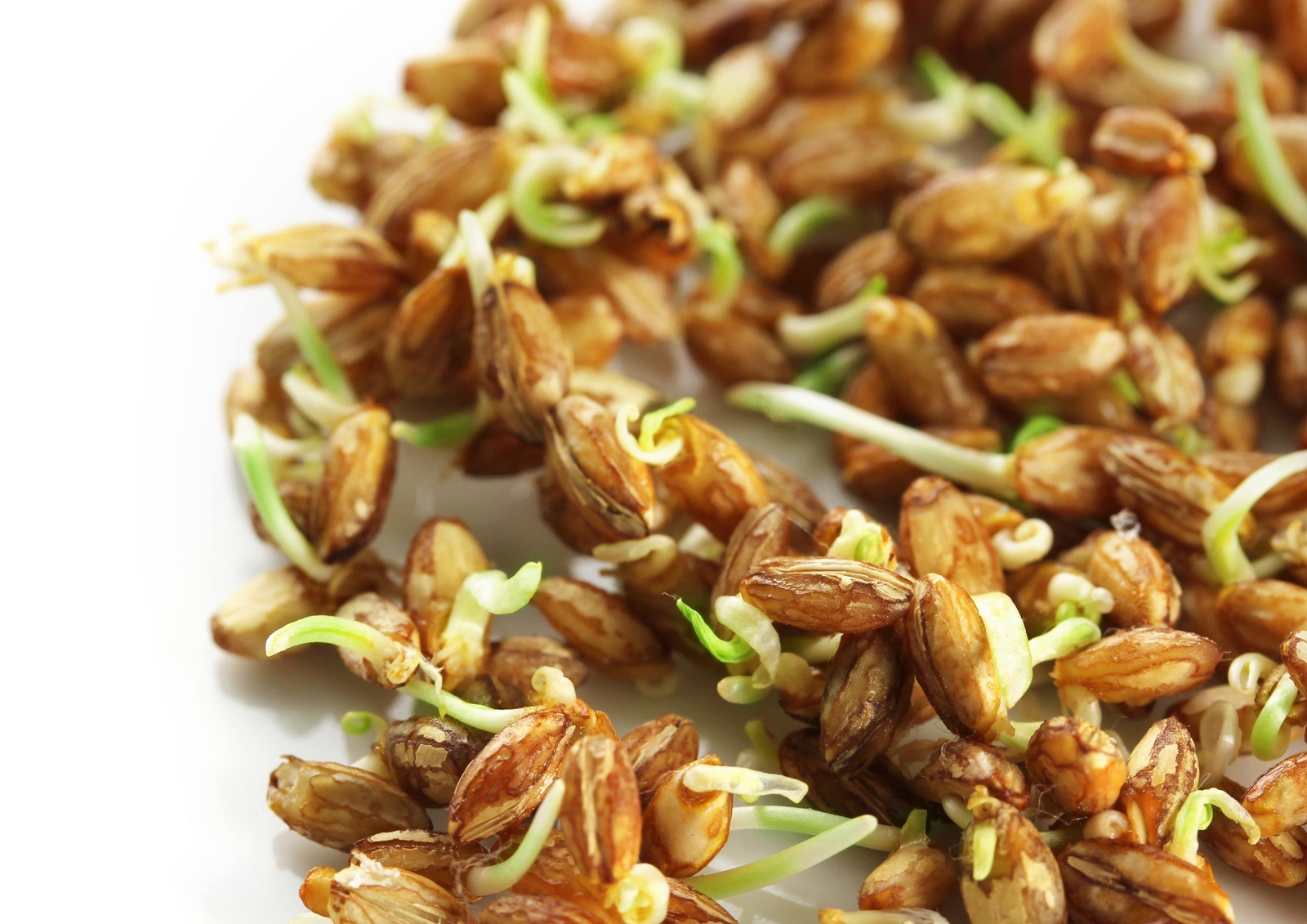 Wheat Berries – Sproutable, Kosher, Raw – by Food To Live