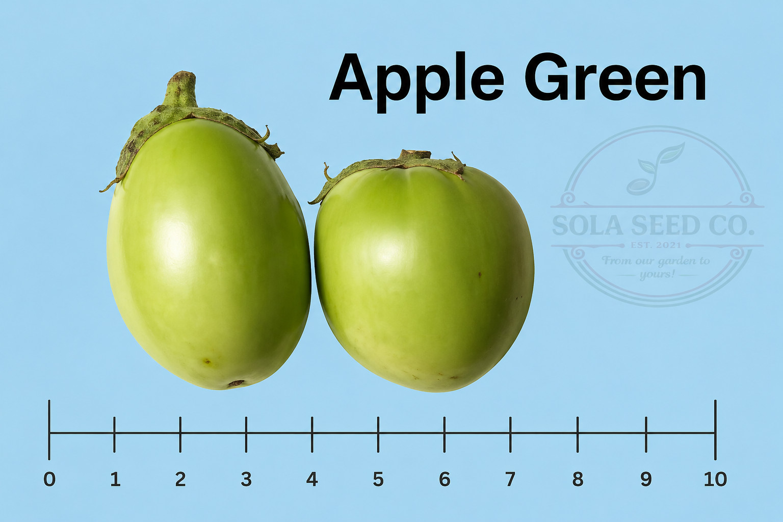 20 Apple Green Eggplant seeds-Solanum Melongena- American Heirloom- Non GMO USA