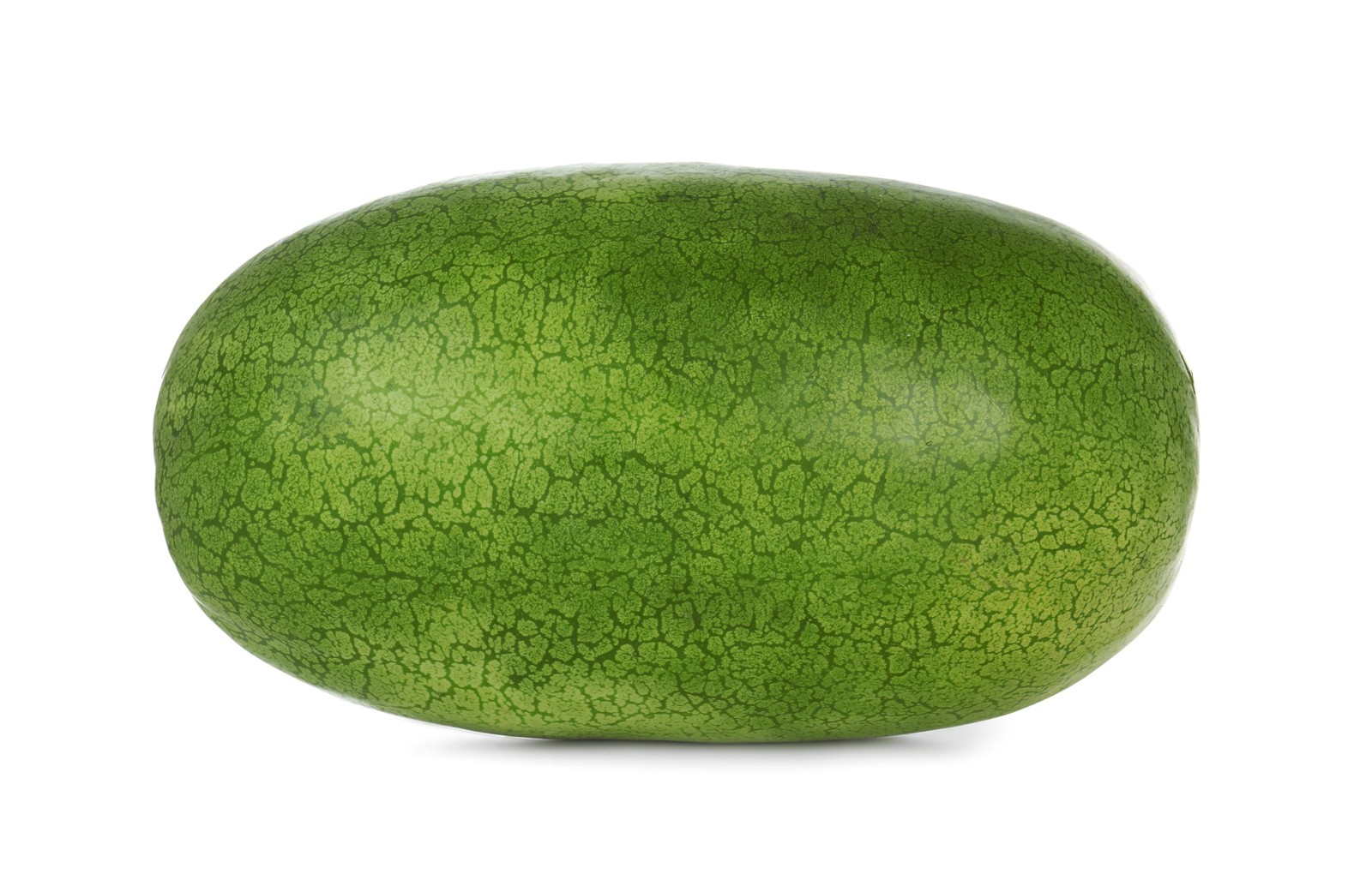 50 CHARLESTON GRAY WATERMELON Citrullus Lanatus Red Fruit Melon Seeds