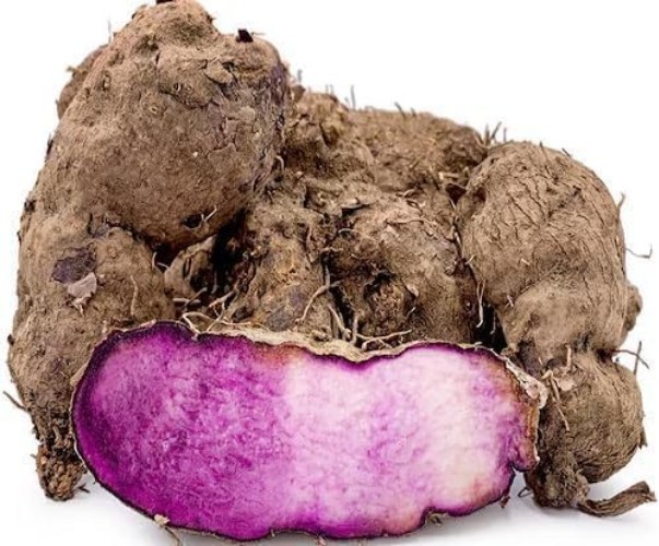 100 Pcs Dioscorea Alata Seeds, Heirloom Purple Yam Vegetable Seeds for Planti…