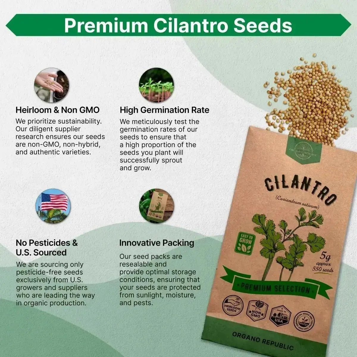 Cilantro Seeds Pack 5G