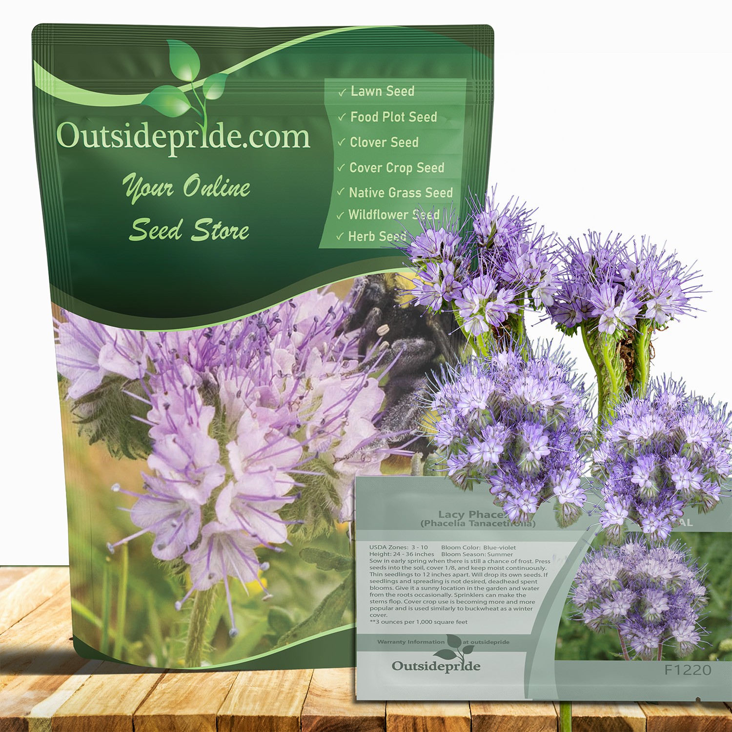 5 LBS Lacy Phacelia Seeds – Phacelia Tanacetifolia Wildflower Seed