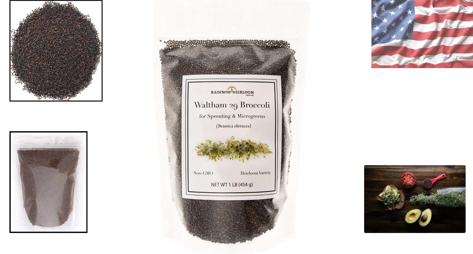 Nutritious Broccoli Sprouting Seeds – Heirloom Waltham 29 1LB Resealable Bag