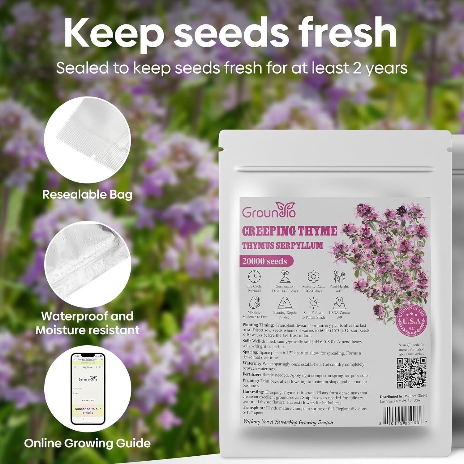 Attract Pollinators with 20000+ Creeping Thyme Seeds – Low Maintenance Option