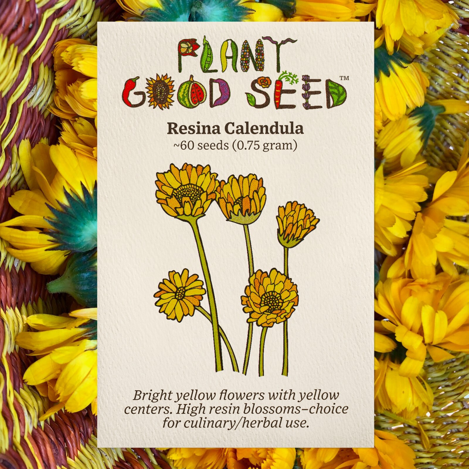 Resina Calendula Seeds – Pot Marigold, Yellow Organic Officinalis Herbal Salves