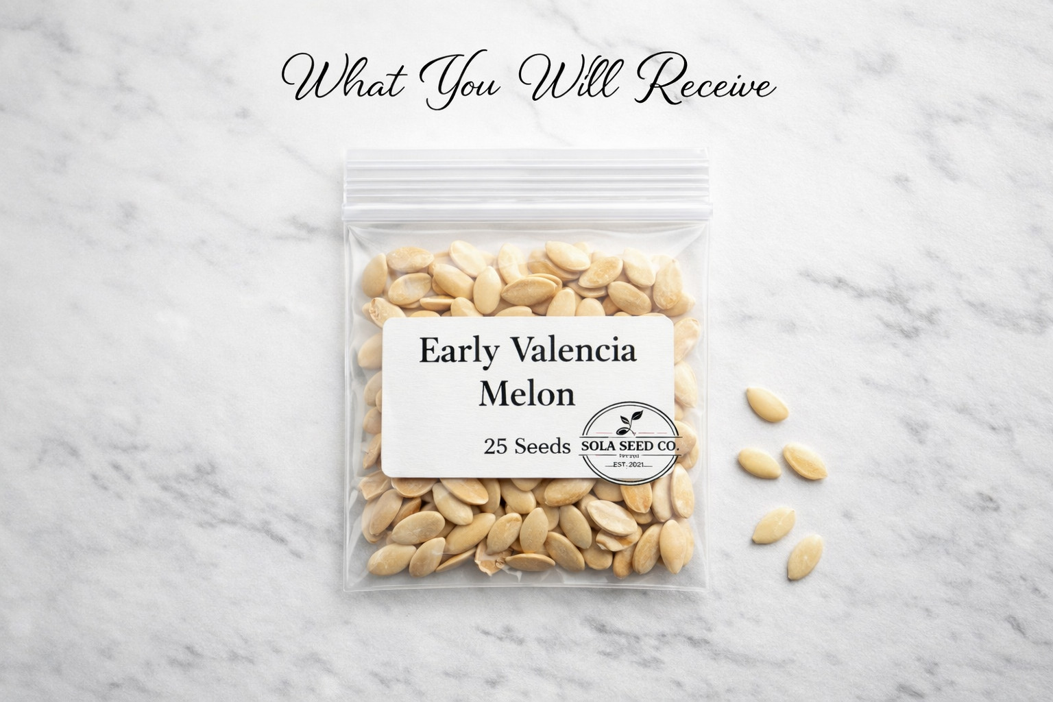 25 Early Valencia Melon Seeds, Unique, Sweet, Heirloom, Non-GMO, Genuine usa