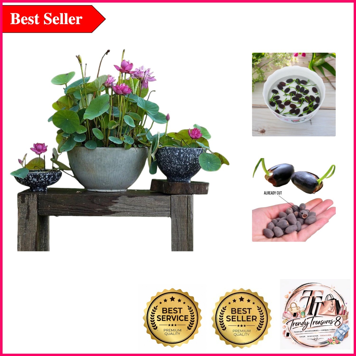 Vibrant 12-Piece Lotus Seed Collection for Indoor & Outdoor Water Gardens