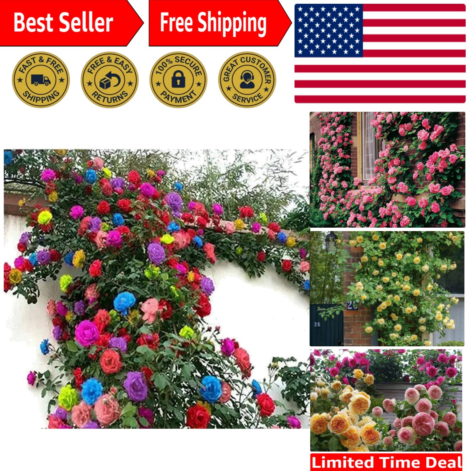 200+ Heirloom Mix Climbing Rose Seeds for Stunning Outdoor & Indoor Displays