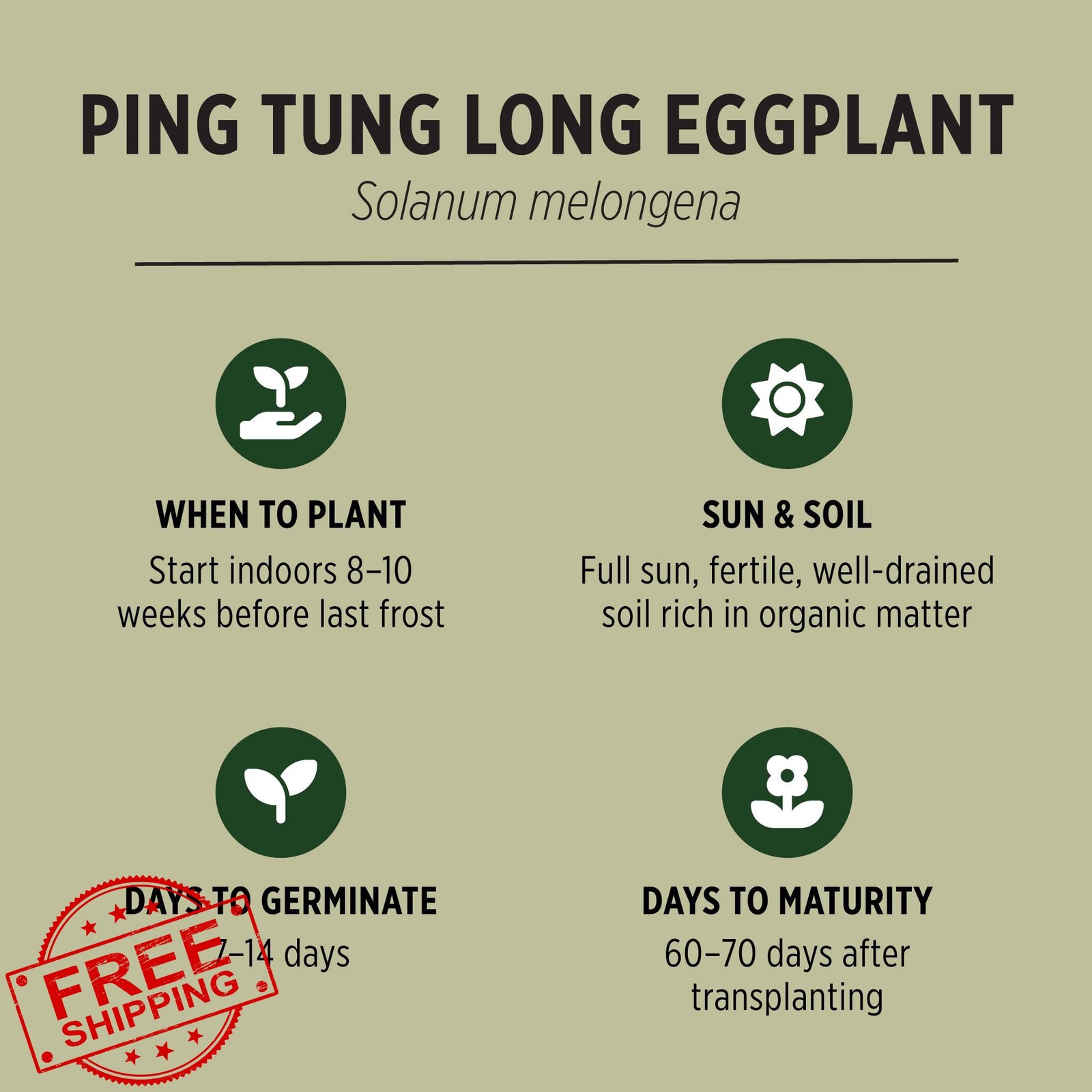 Banyan Botanicals Organic Eggplant Seeds Ping Tung Long 30 Count Non-GMO