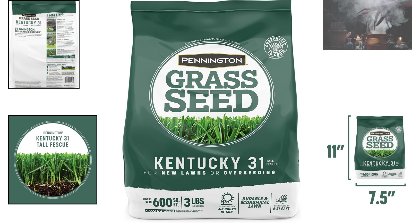 Drought-Resistant Kentucky 31 Tall Fescue Grass Seed – 3 lb for Easy Gardening