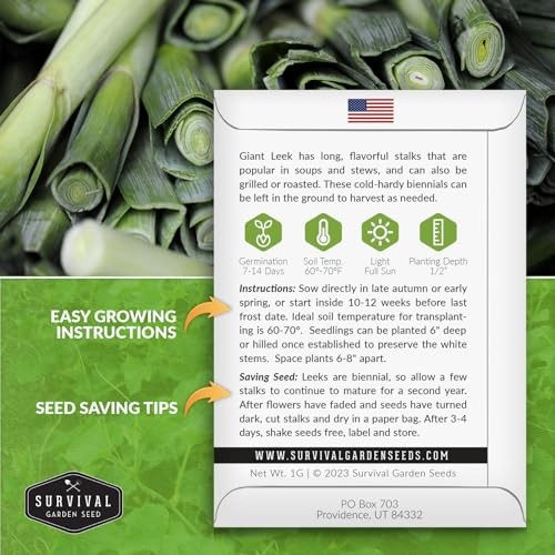 Giant Leek Seed for Planting – Packets with Instructions to Plant and Grow 5