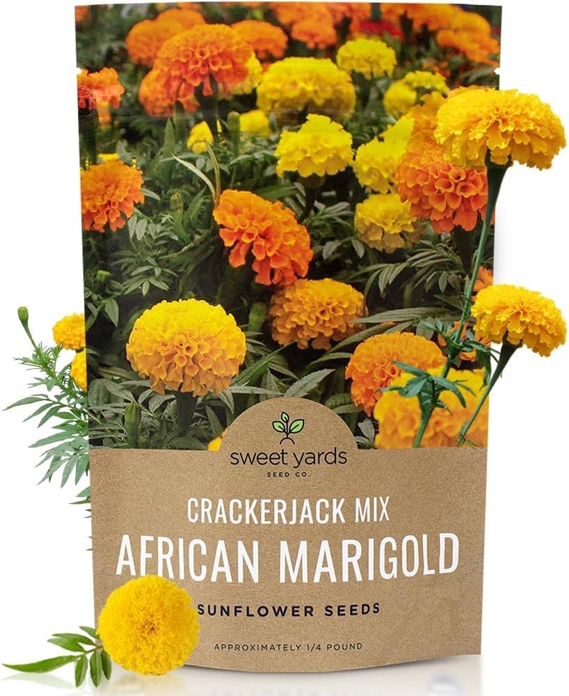 Stunning African Marigold Seeds – 1/4 lb Bag, 40,000 Seeds for Easy Gardening