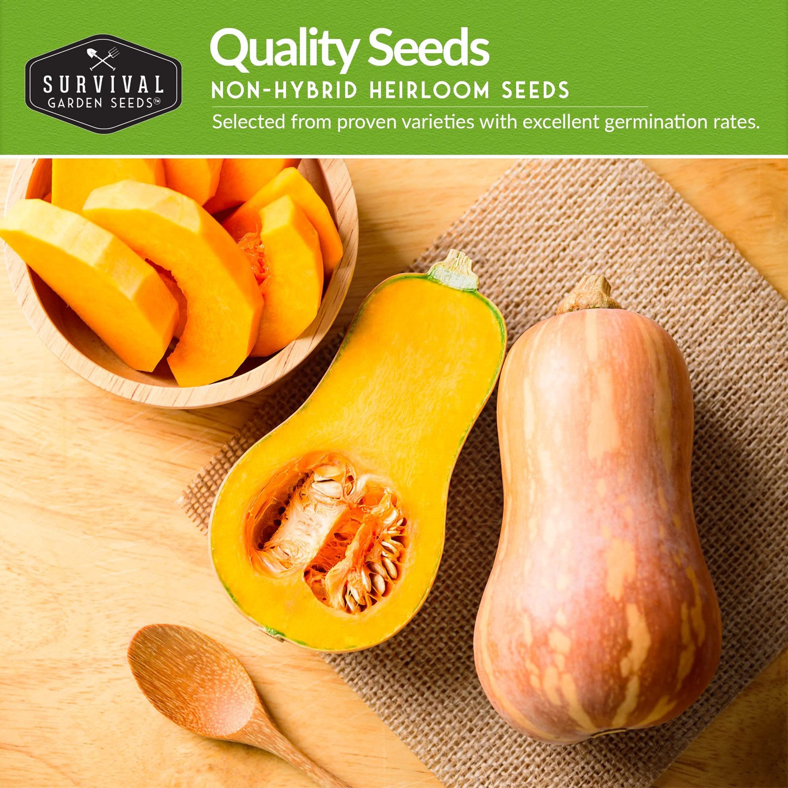 Squash Seed Collection to Plant – 5 Packs of Summer & Winter Squash – Round Z…