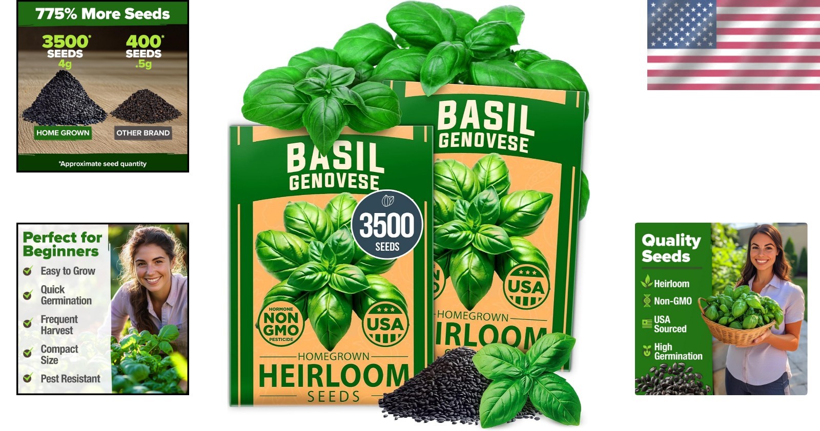 Organic Genovese Basil Seeds – 3500 Non-GMO Heirloom Seeds for -Round Growth