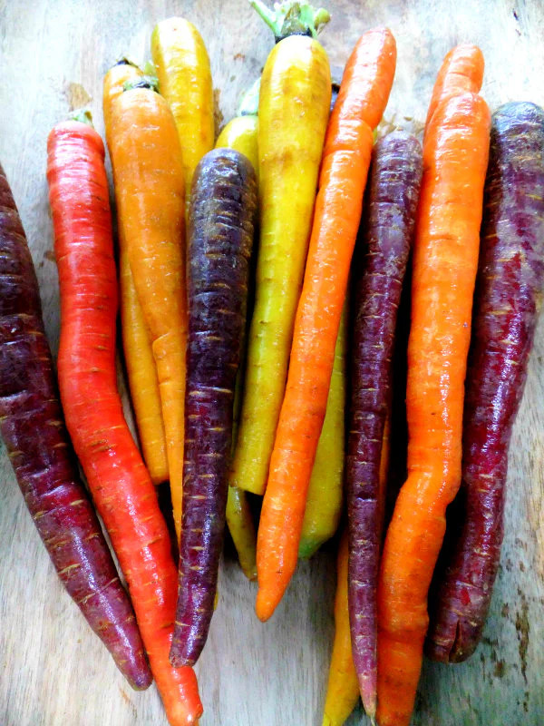 Rainbow Mix Carrot Seeds | Purple Red Yellow Orange Blend Mixed Vegetable 2024