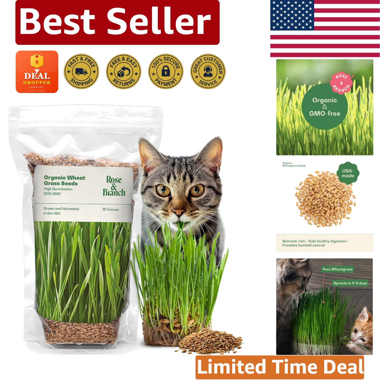 Organic Cat Grass Seeds – 16oz Non-GMO Wheatgrass, Easy to Grow & Pet Friendly