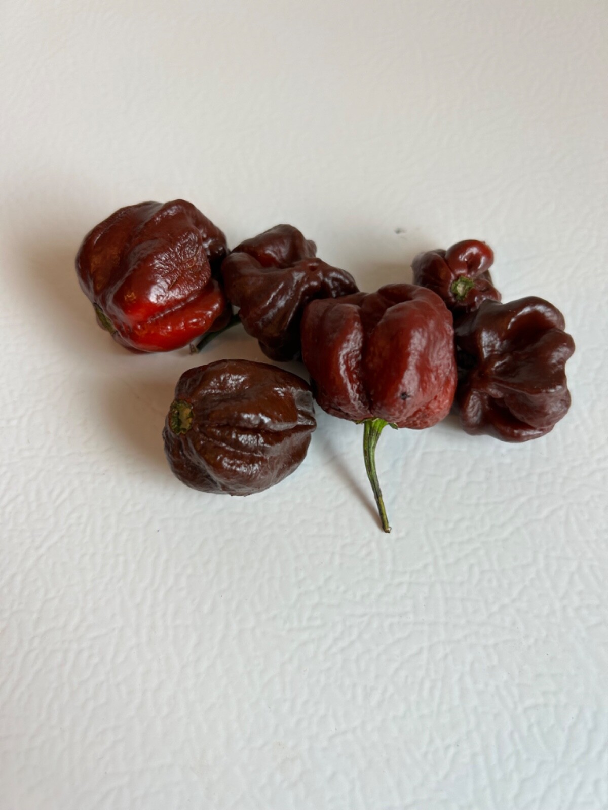 15+ Chocolate Trinidad Scorpion Pepper Seeds Very Hot