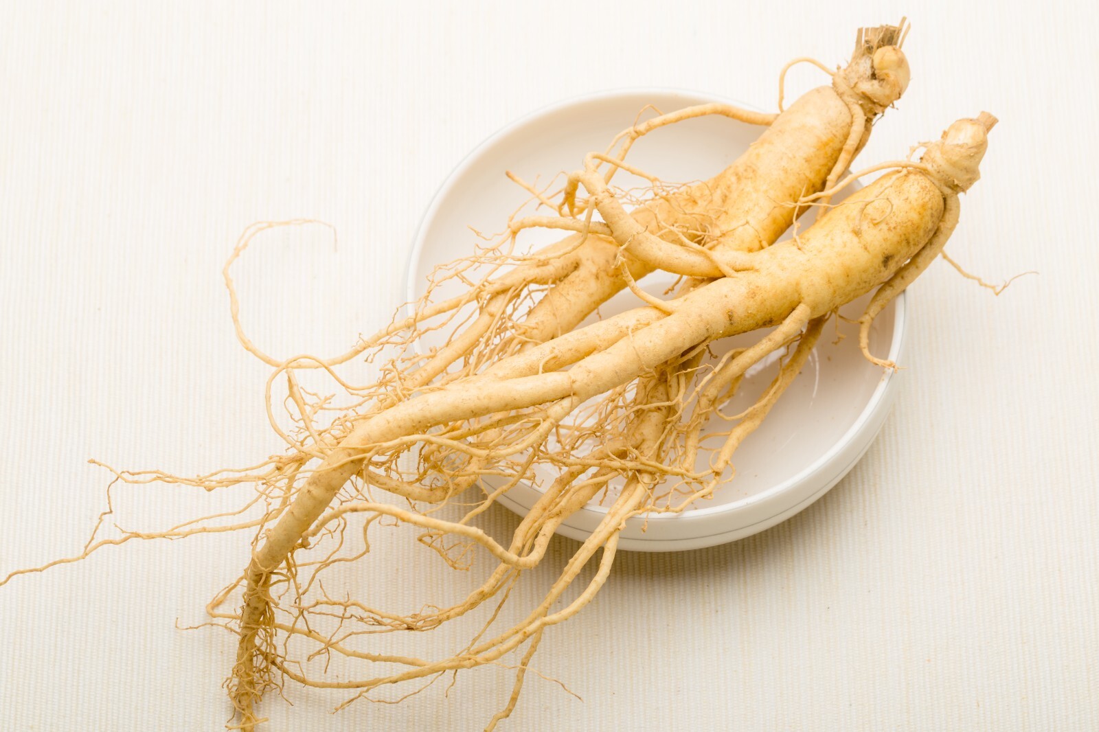 Ginseng Rootlets, Grow Your Own Wild Ginseng Seed from Root Stock! (3 Roots)