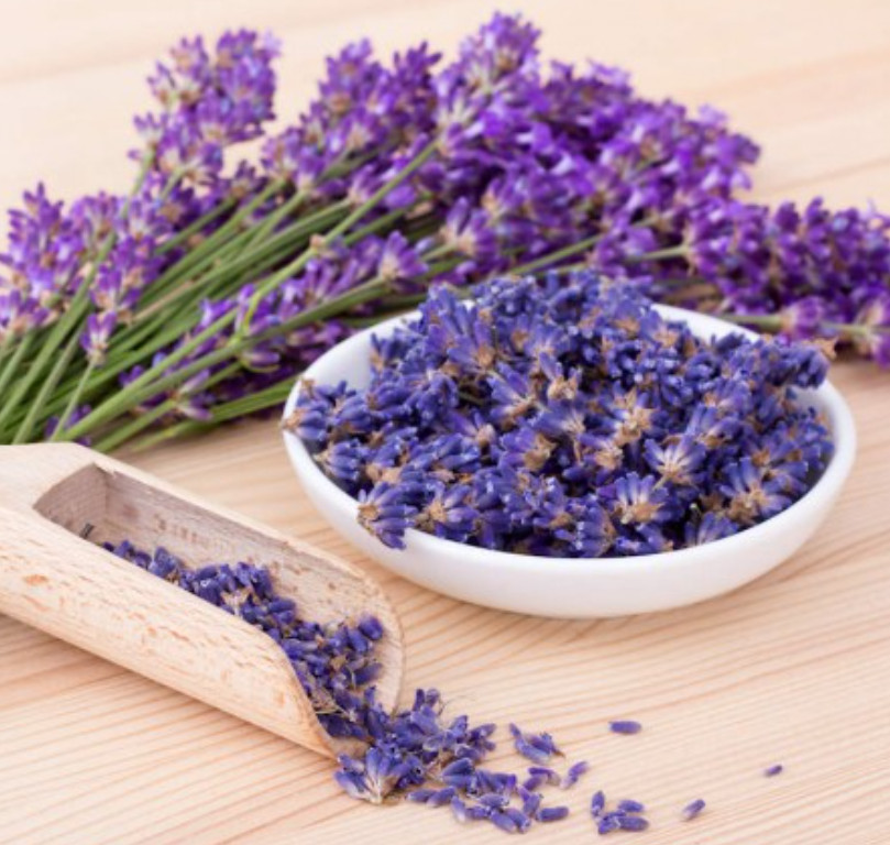 LAVENDER MIX Munstead & Vera Perennial Medicinal Dried Flowers Non-GMO 200 Seeds