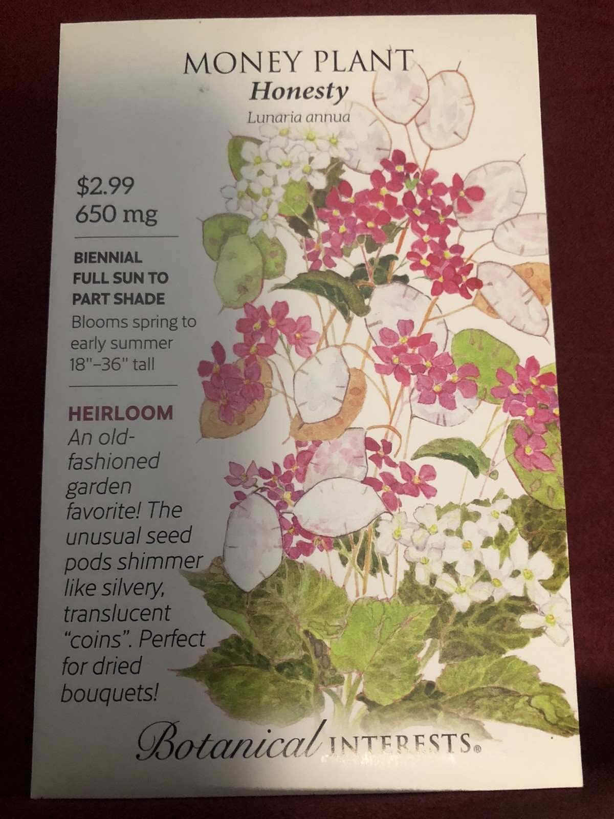 Botanical Interests Money Plant Seeds for Planting – Honesty Plant 650 Mg.