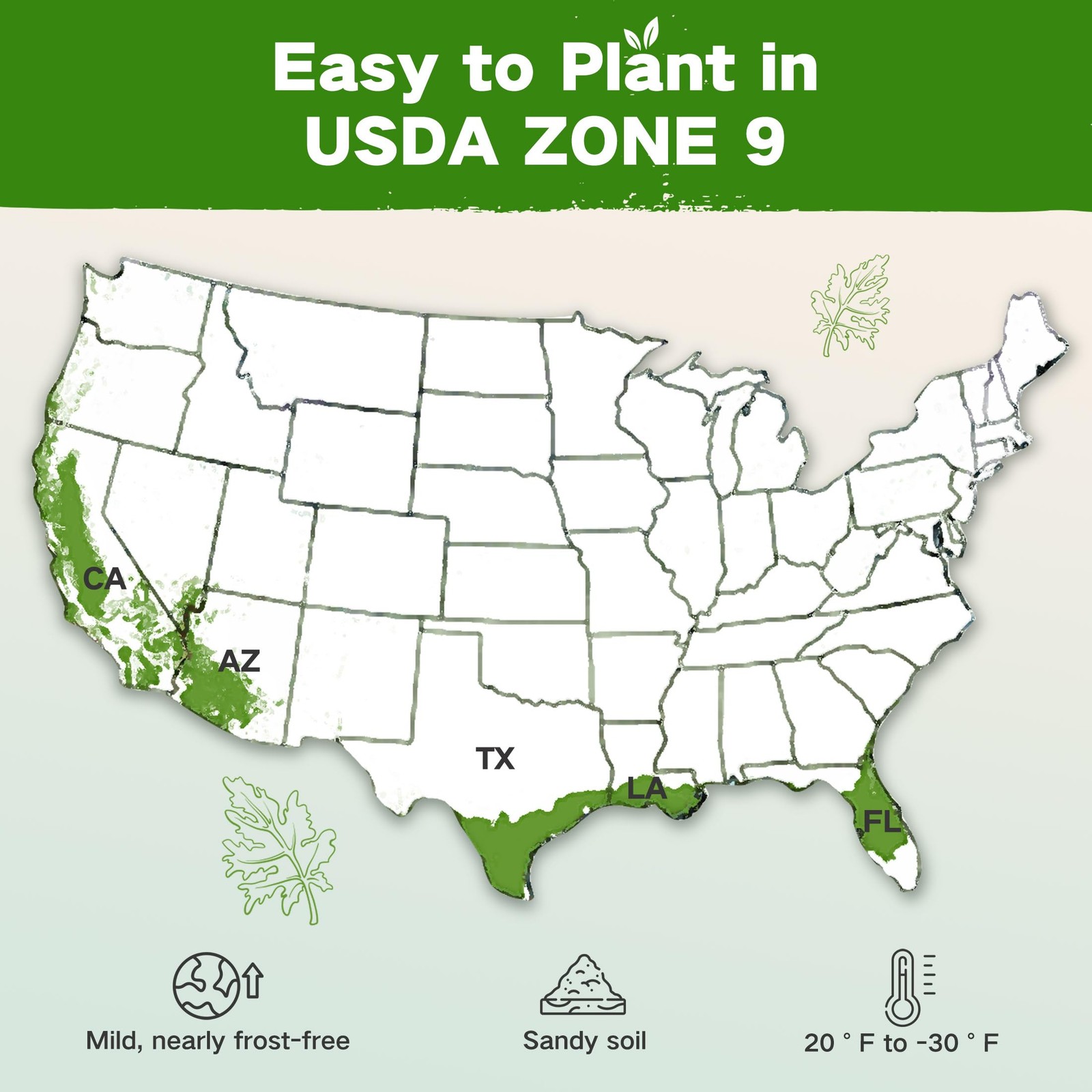 Lush&Dew YearRound USDA Zone 9 Seed Bank, Gardening Gifts for Women Men, 32 V…