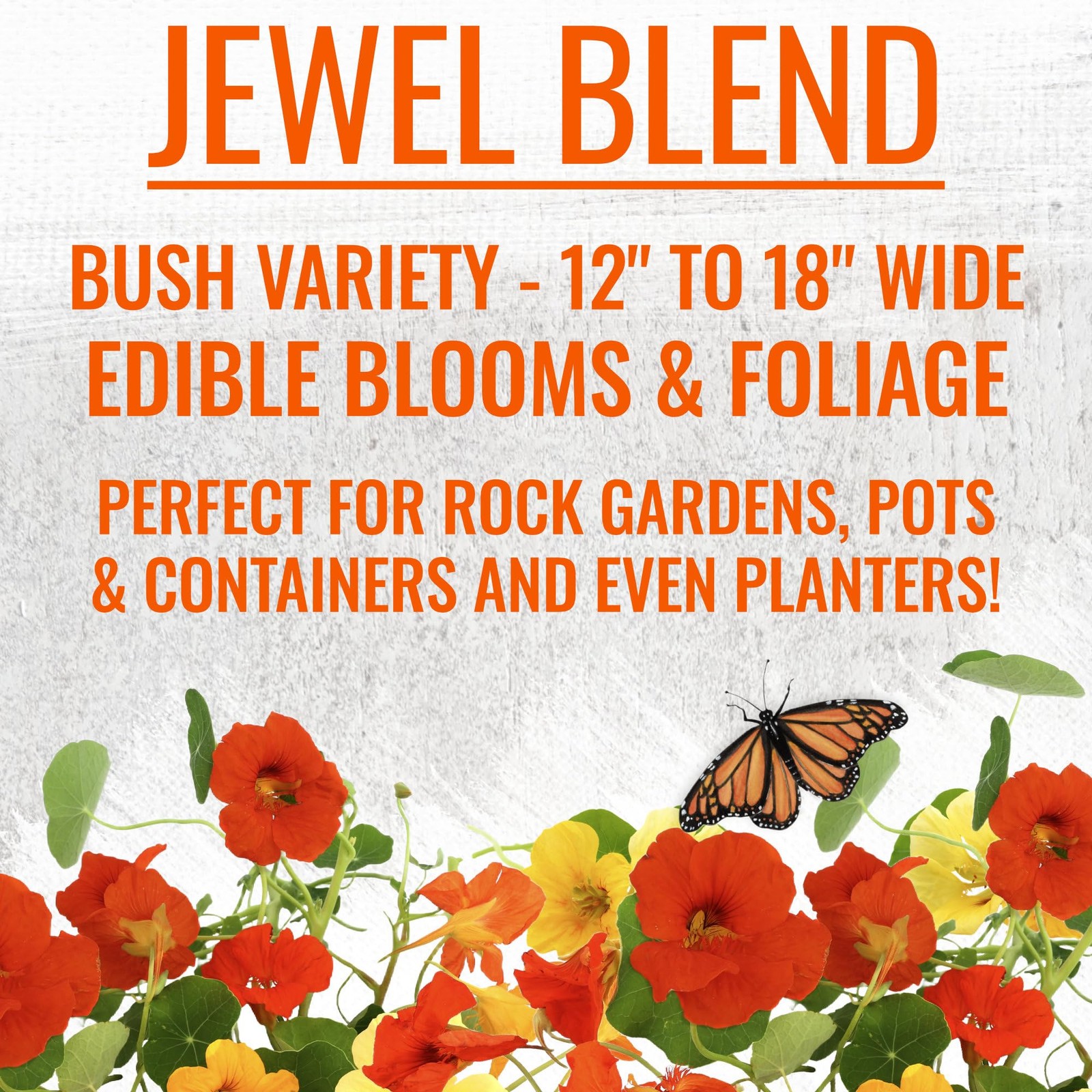 Nasturtium Seeds for Planting Edible Flowers – Collection Set of Jewel Blend …