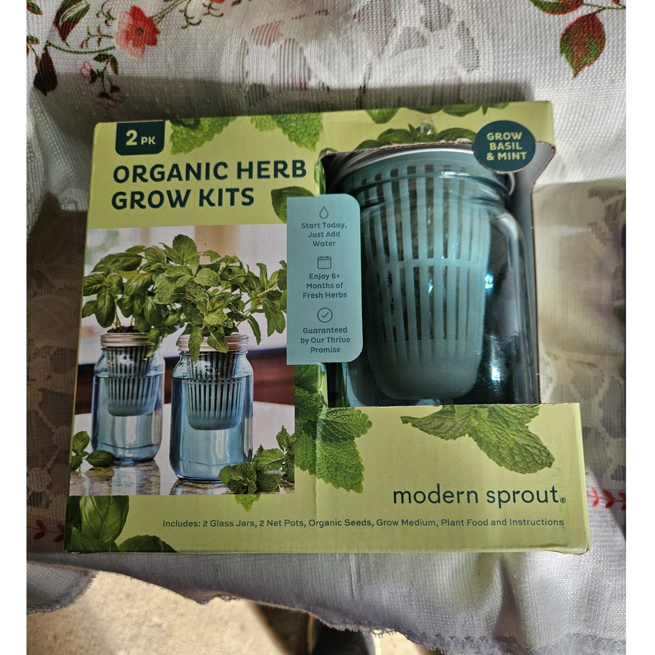 Modern Sprout Organic Self-Watering Herb Seeds 2pk Basil & Mint Edible Indoor