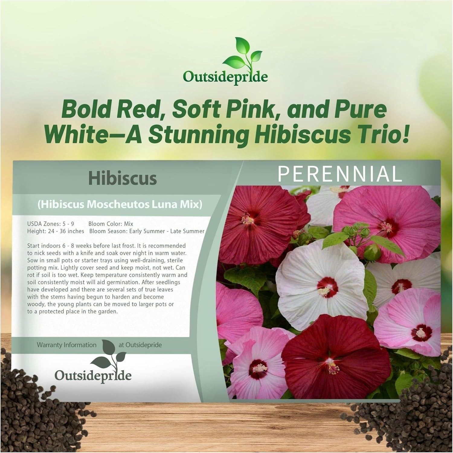 10 Seeds Hibiscus Luna Perennial Flower Seed Mix