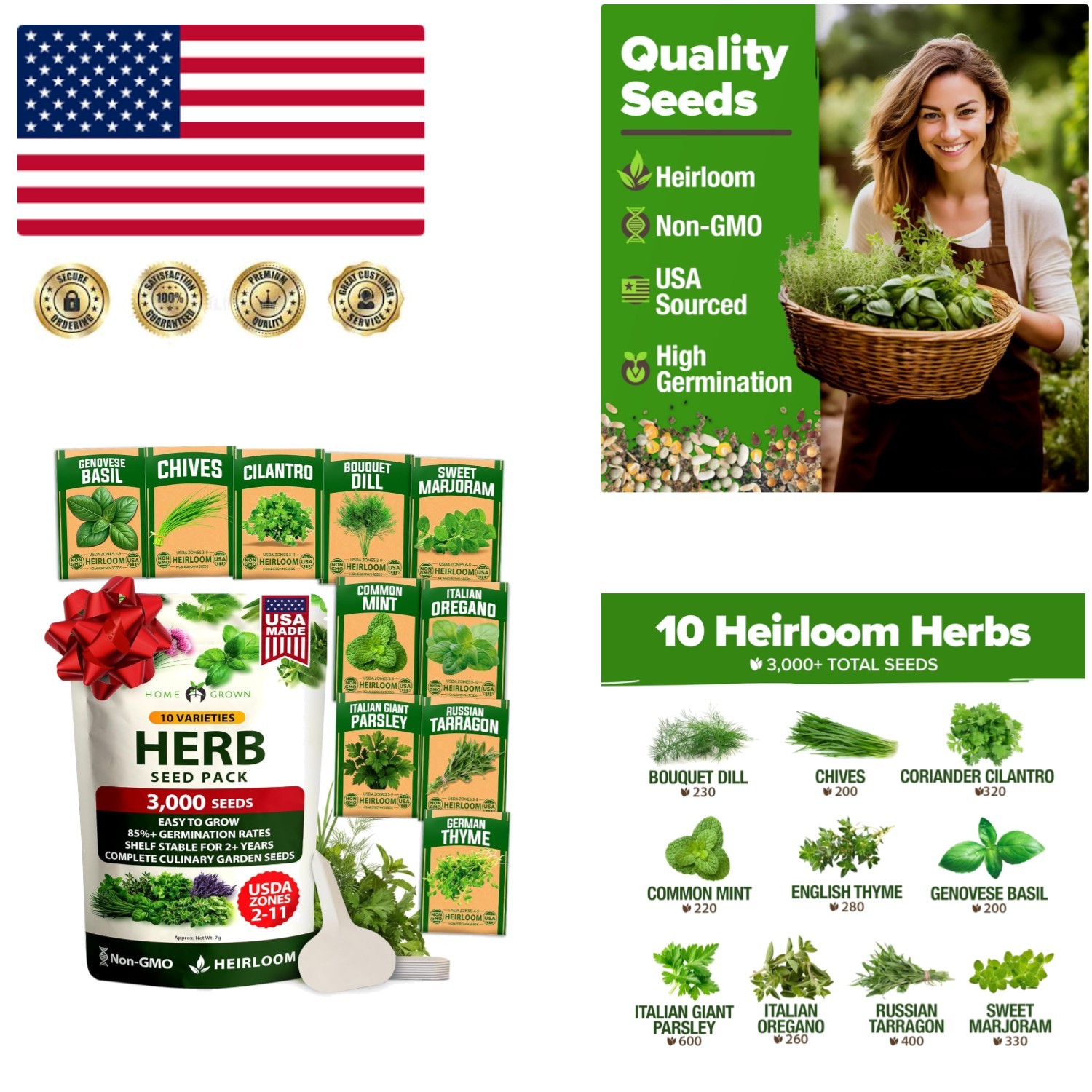 10 Herb Seeds Variety Pack: 3,000+ Non-GMO Heirloom Seeds for Culinary Delights