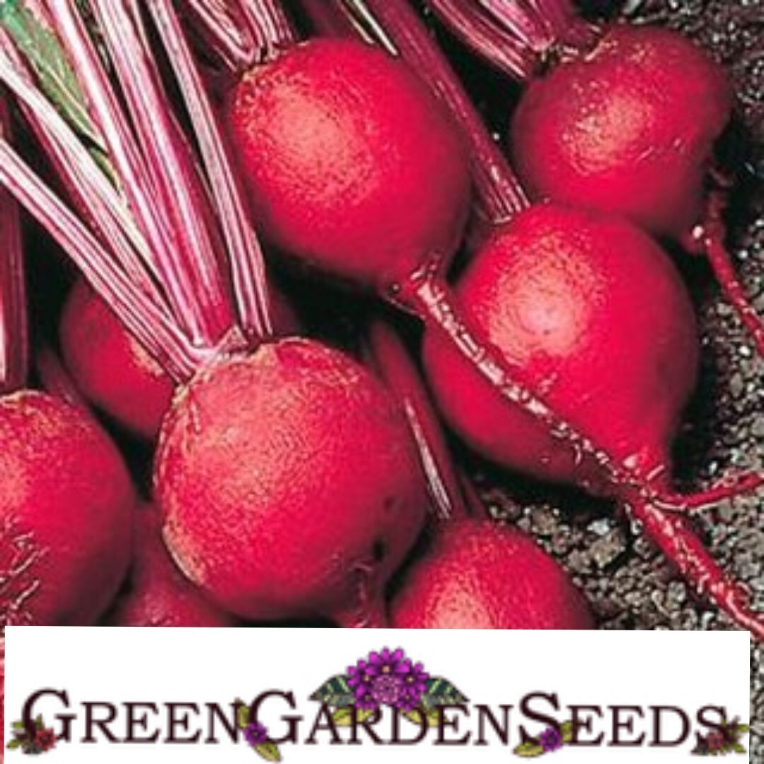 ORGANIC | Beet Seeds – Detroit Dark Red | Vegetable Garden seeds| 125 Seeds |