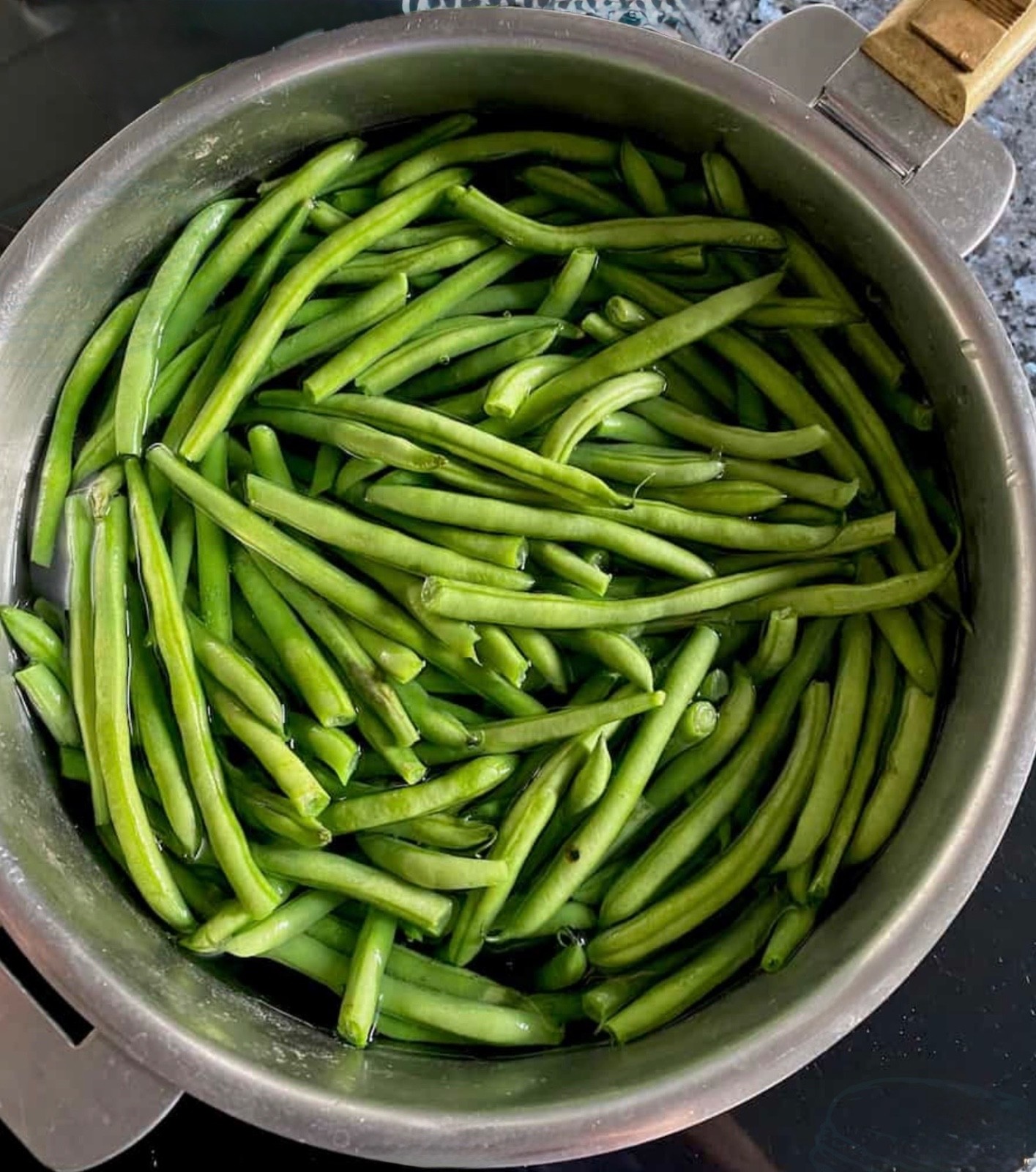 Petite French Filet Stringless Bush Bean (Haricot Vert) Fresh Seeds – Heirloom