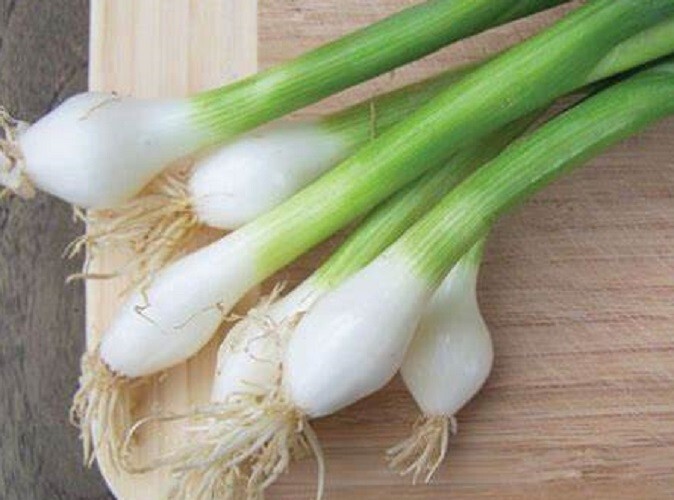 100+ Japanese Heshiko Bunching Onion Seeds (Asian)