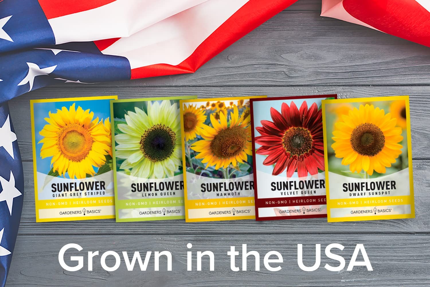 “Sunflower Growing Kit NonGMO Seeds for Indoor & Outdoor Garden”