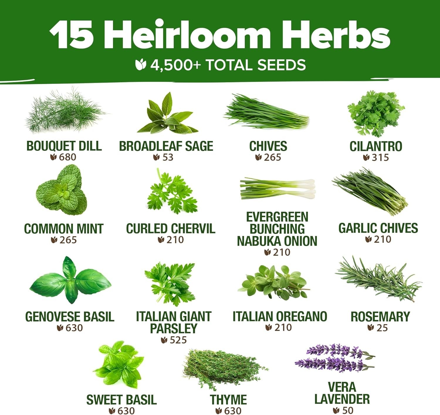 15 Herb Seeds Variety Pack – Non-GMO, Heirloom, Kitchen & Indoor Gardens